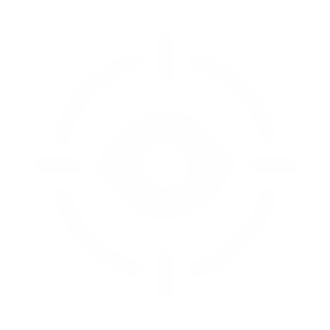 Vision Icon